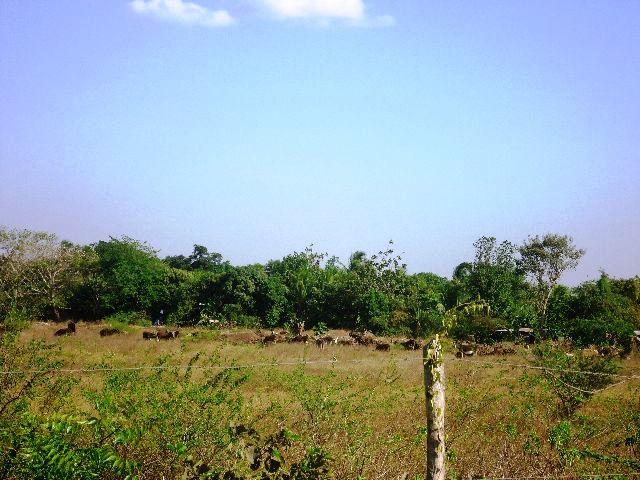 ¡Mi viaje por el Occidente de Nicaragua en pleno viernes santo 2013, Segunda Parte!