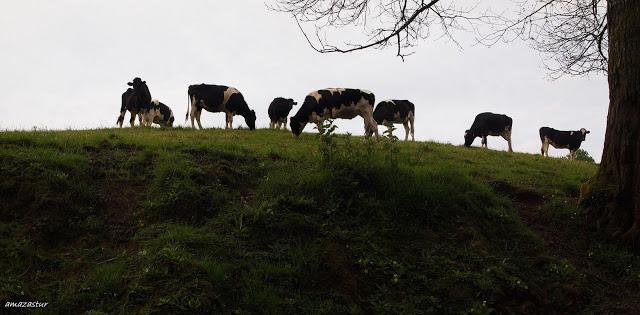 los molinos del rio profundo