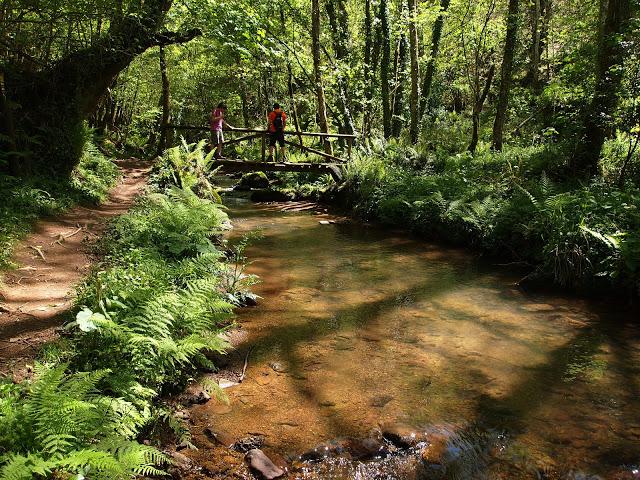 los molinos del rio profundo