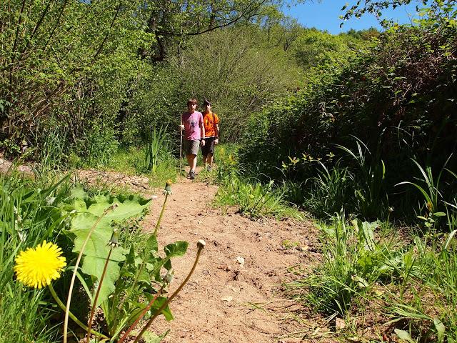 los molinos del rio profundo