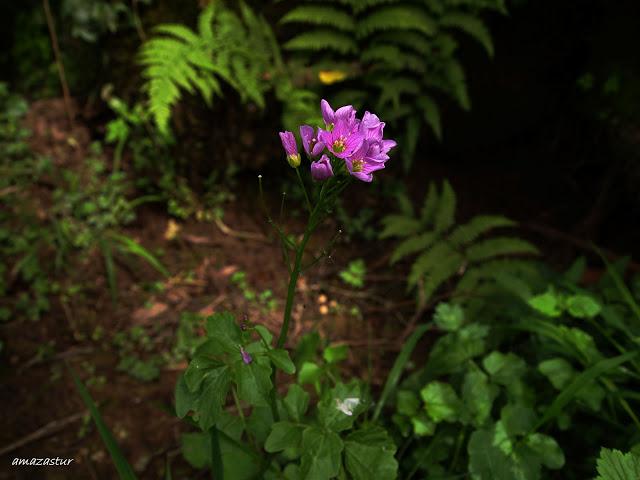 los molinos del rio profundo