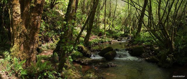 los molinos del rio profundo