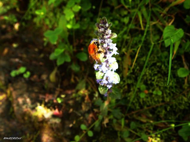 los molinos del rio profundo