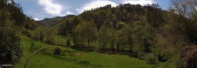 los molinos del rio profundo