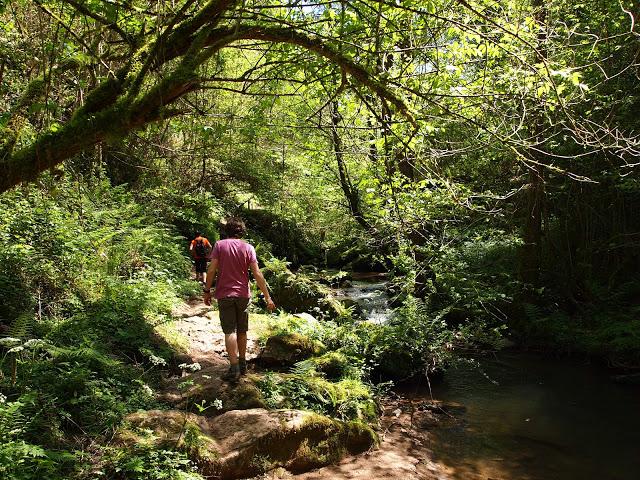 los molinos del rio profundo