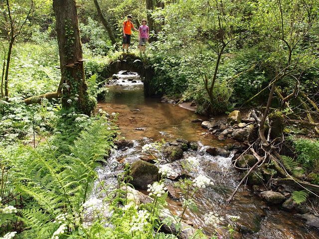 los molinos del rio profundo