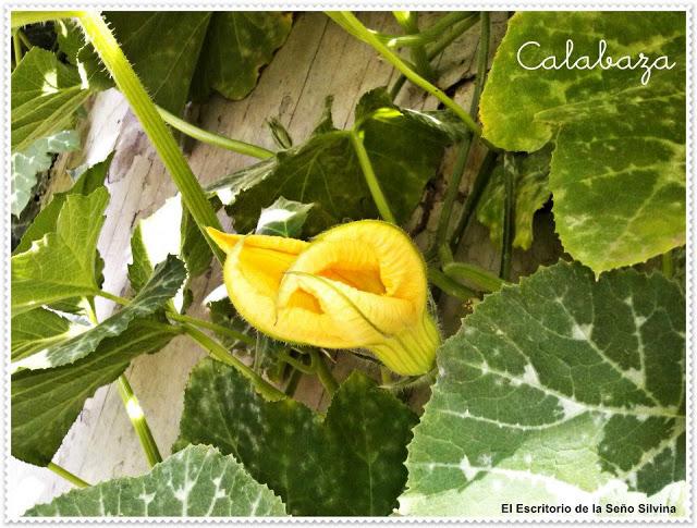 Escuela Verde y Florida