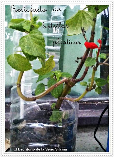 Escuela Verde y Florida