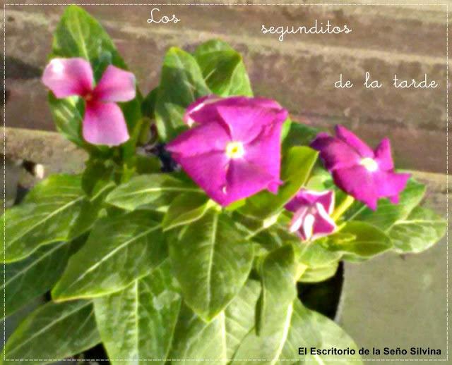 Escuela Verde y Florida