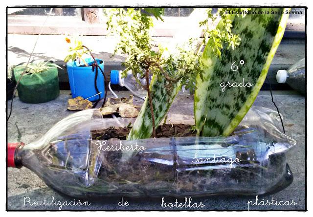 Escuela Verde y Florida