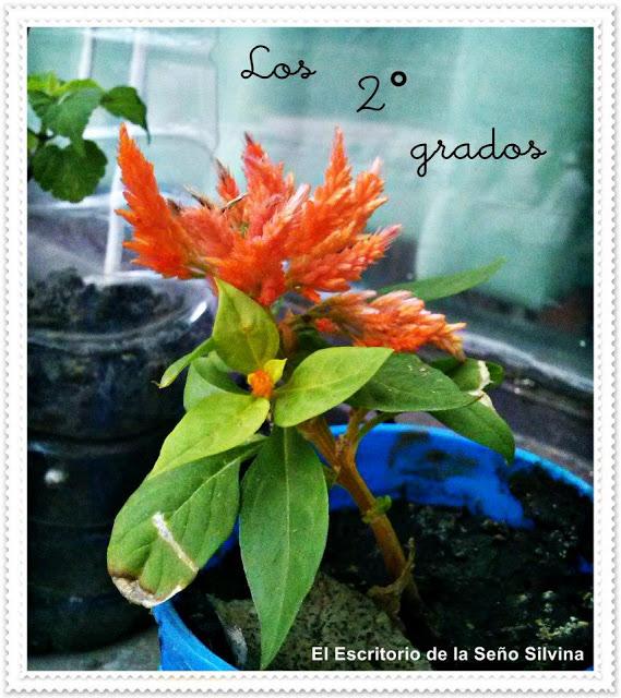 Escuela Verde y Florida