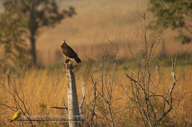 Postales de la desembocadura del Arroyo Apepú