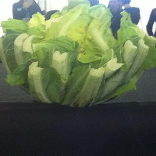 Snapshots of the week 2