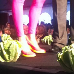 Snapshots of the week 2