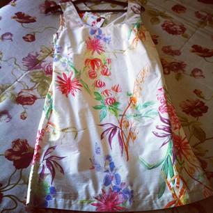 Snapshots of the week 2