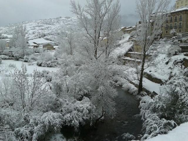 Snapshots of the week 2