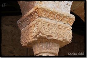 Andaluz (8) Andaluz (8)