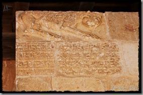 Andaluz (10) Andaluz (10)