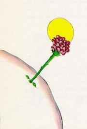 Por qué el principito es mi libro favorito Por qué el principito es mi libro favorito