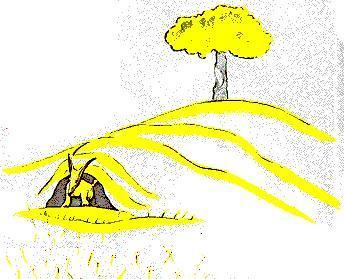 Por qué el principito es mi libro favorito Por qué el principito es mi libro favorito