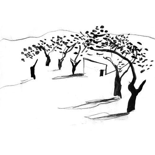 Invitación al optimismo