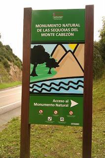 Localizaciones - El bosque de Endor - En busca de las Secuoyas en España