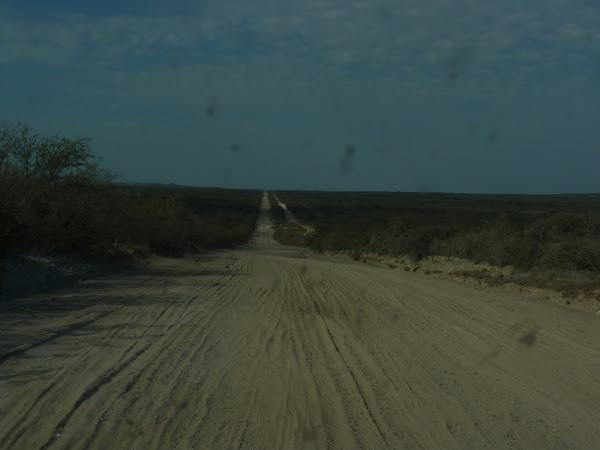 Salinas negras