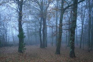 El Misterio de Wraxford Hall