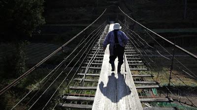 Riviera Maya 2013/Ganadores