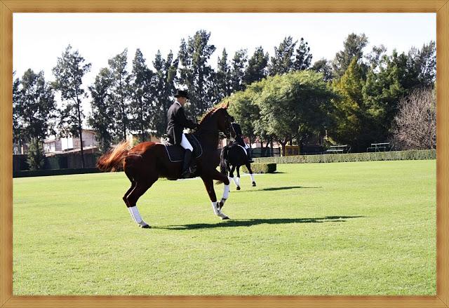 Un vida deportiva en clave Hermès