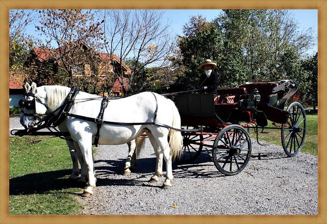 Un vida deportiva en clave Hermès