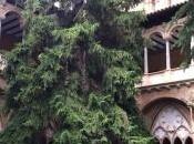 ¿cuántas veces habéis enseñado algo vuestros trabajos otros compañeros?