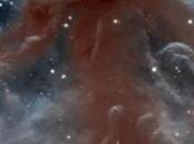 Preciosa Nebulosa ORION