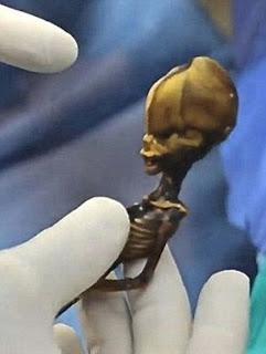 El extraterrestre encontrado en Chile hace 10 años tiene ADN humano