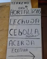 ESPARRAGOS ENVUELTOS EN JAMÓN Y SALMÓN GRATINADOS CON BECHAMEL DE CALABACÍN