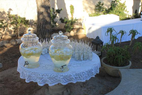 boda-jardin-06