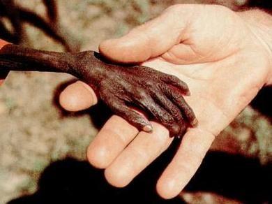 La insensatez de prohibir el aborto