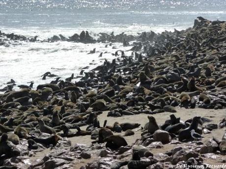 Cape Cross Namibia