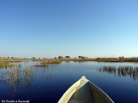 Mokoro en Delta del Okavango