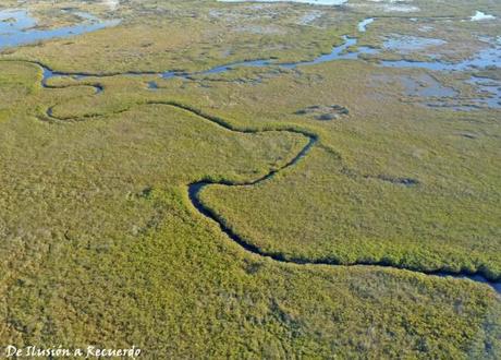 Delta del Okavango