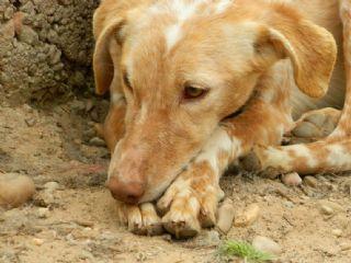 Cuba, pasado desconocido, auguramos futuro feliz!