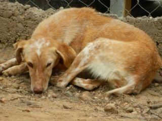Cuba, pasado desconocido, auguramos futuro feliz!
