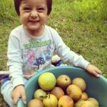 Nuestro Huerto Casero en flor