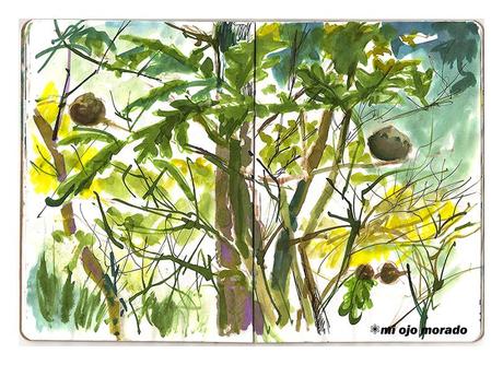 Mi Sketchbook project 2013. Mi Sketchbook project 2013.