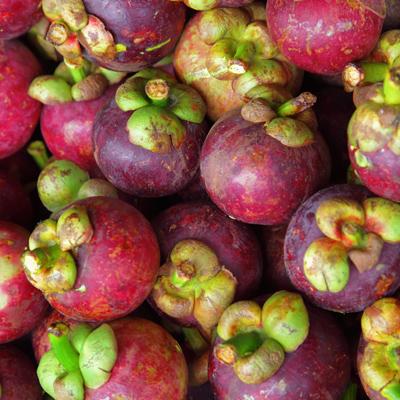 Un poquito de trópico: Hoy, mangostán