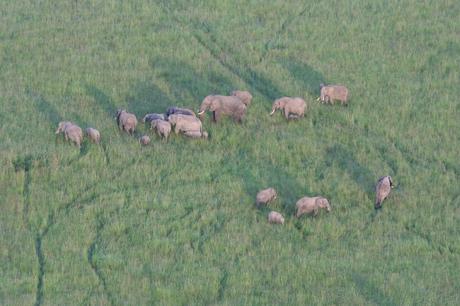 Viaje en globo al amanecer en Masai Mara