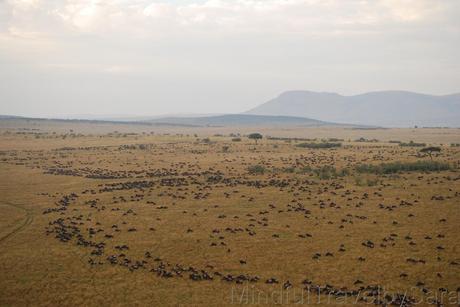 Viaje en globo al amanecer en Masai Mara