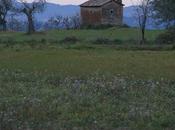 Fotografía nocturna