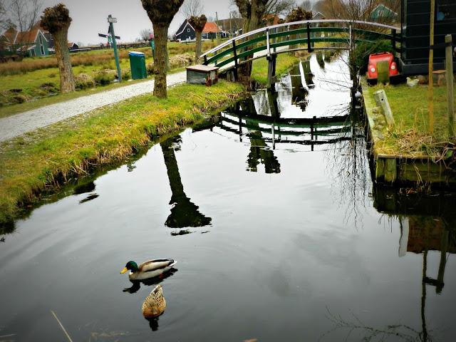 Mi viaje: Ámsterdam - Zaanse Schaans