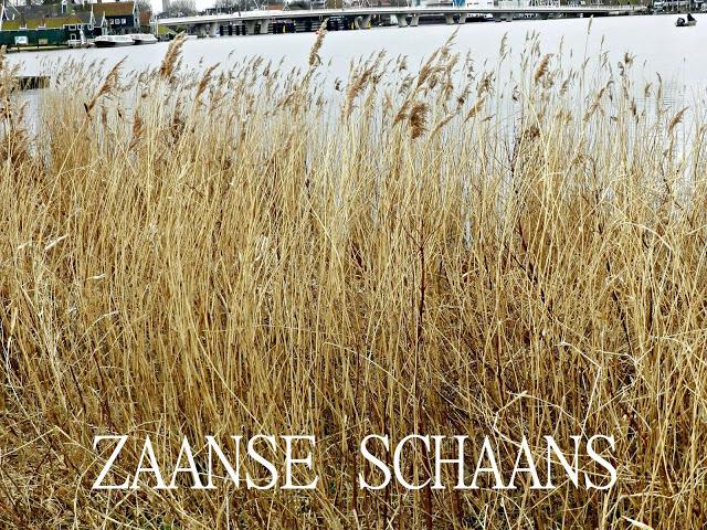 Mi viaje: Ámsterdam - Zaanse Schaans